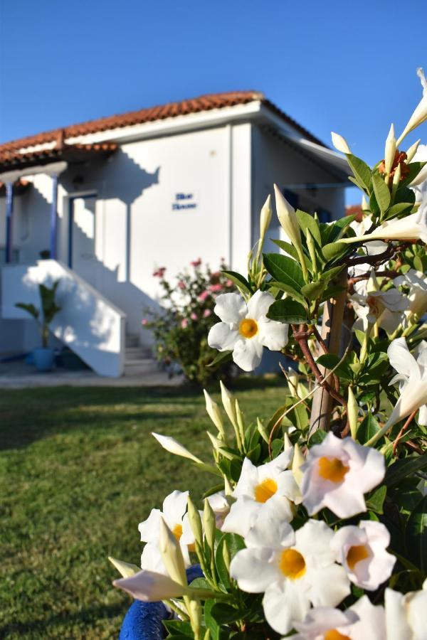 פיניקונטה Blue Houses Apartments מראה חיצוני תמונה